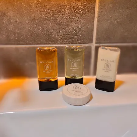 Loft Airport Hotell 3*