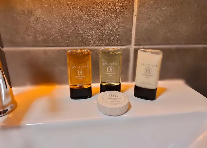 Loft Airport 호텔 3*